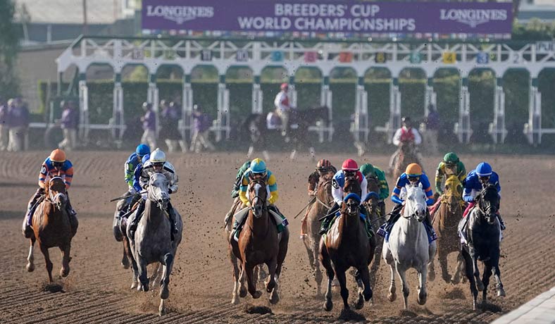 Jinetes y caballos en el Breeders Cup Classic 2023 en California