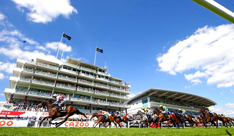 Varios caballos en competencia en Epsom Derby de Surrey